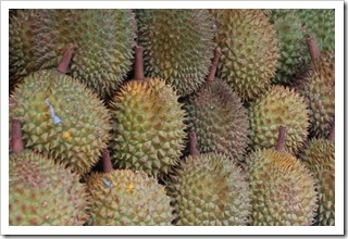 Durian na sprzedaż